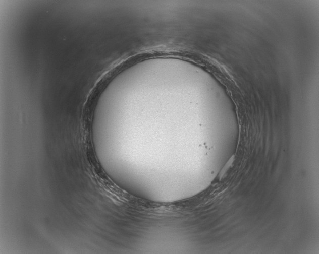 X0000071951160200608041546