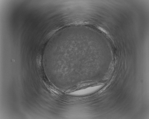 X0000071951161200608041546