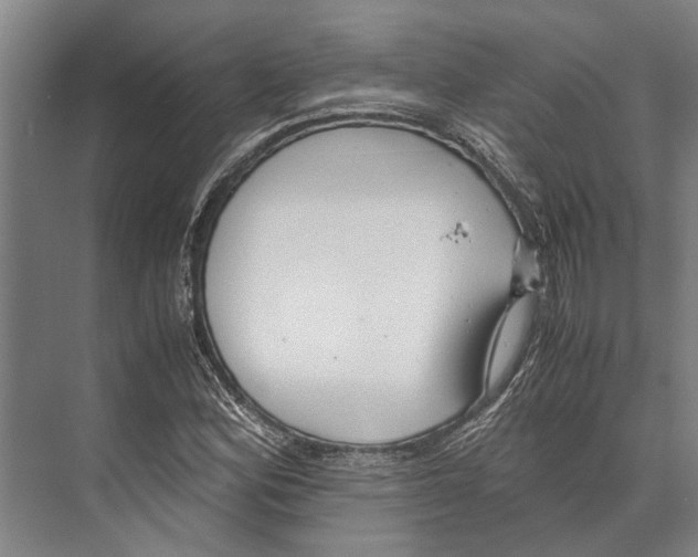 X0000071951164200608041545