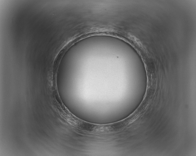 X0000071951165200608041545