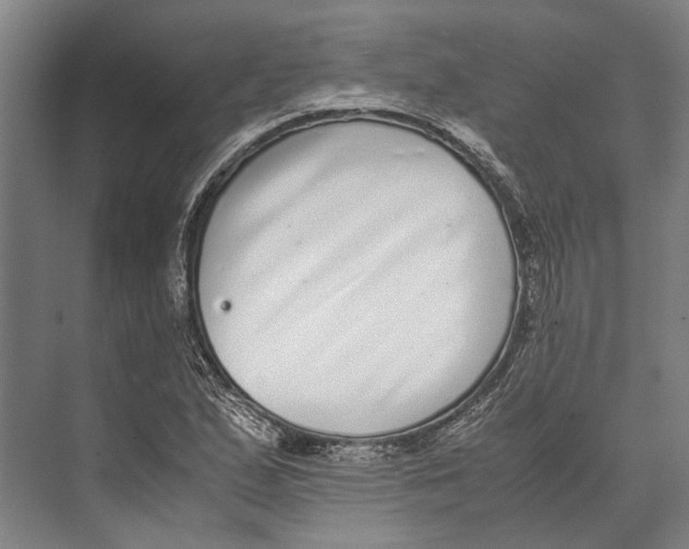 X0000071951167200608041545