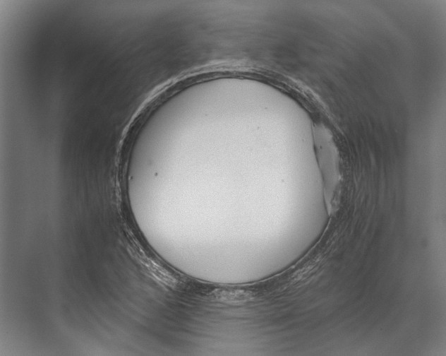 X0000071951168200608041545