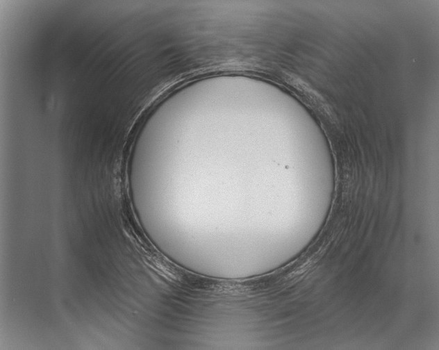 X0000071951170200608041545