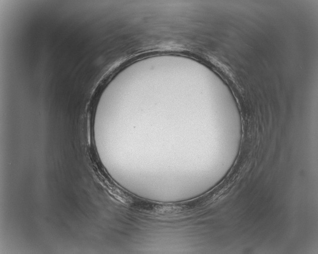 X0000071951171200608041545