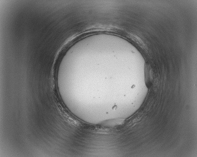 X0000071951172200608041545