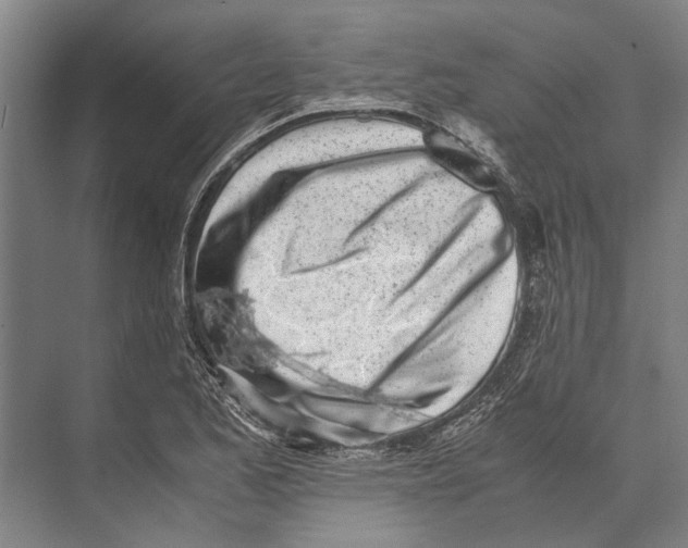 X0000071951173200608041545