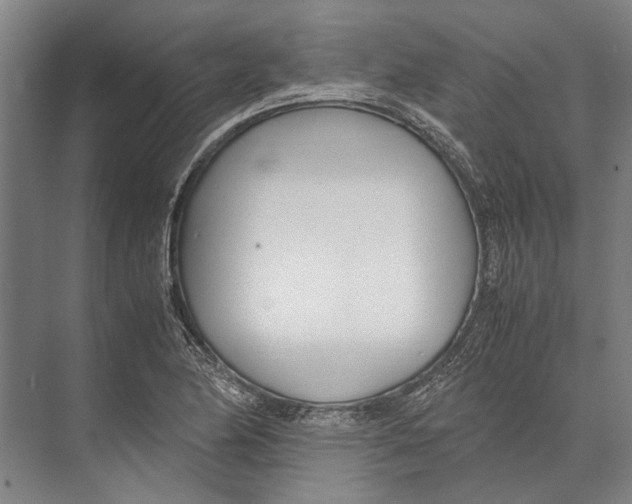 X0000071951174200608041545