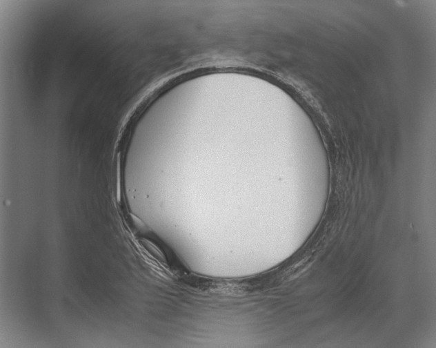 X0000071951175200608041545