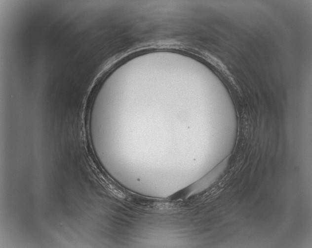 X0000071951176200608041545