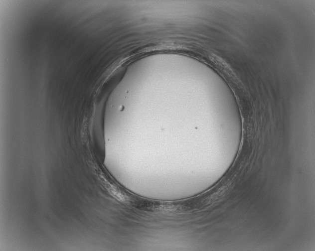 X0000071951177200608041545