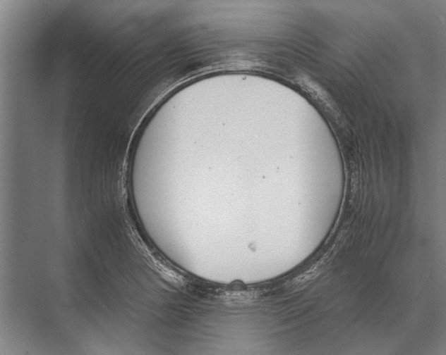 X0000071951178200608041545