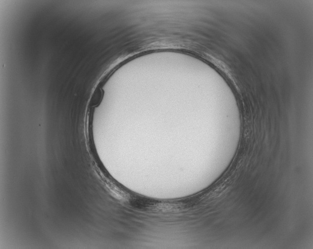 X0000071951179200608041545