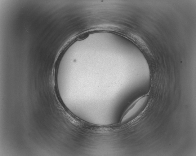 X0000071951180200608041545