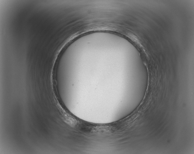 X0000071951181200608041545