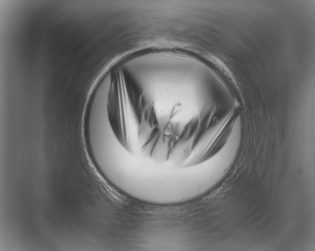 X0000071951183200608041545