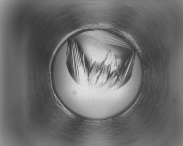 X0000071951184200608041545