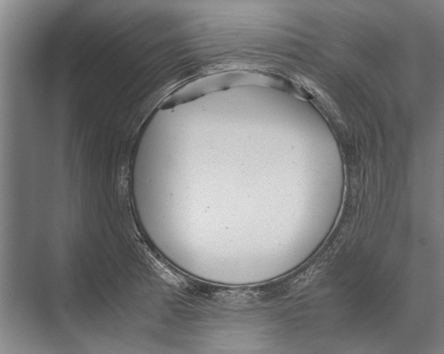 X0000071951185200608041545