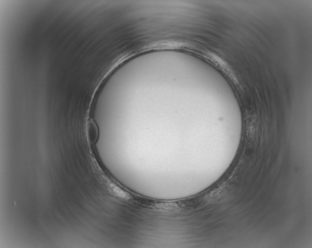 X0000071951186200608041545