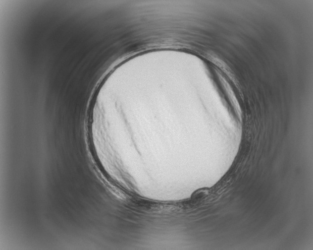 X0000071951187200608041545