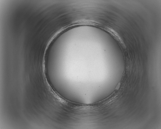 X0000071951188200608041545