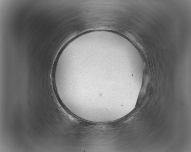 X0000071951189200608041545