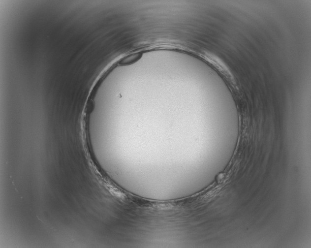 X0000071951190200608041545