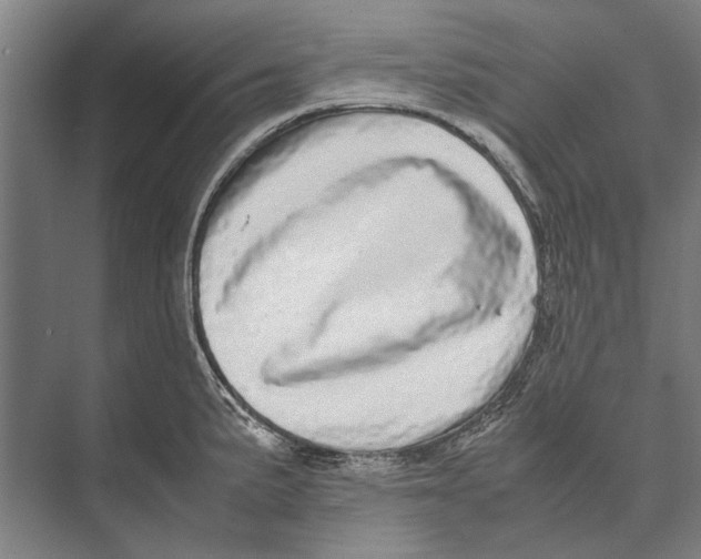 X0000071951191200608041545