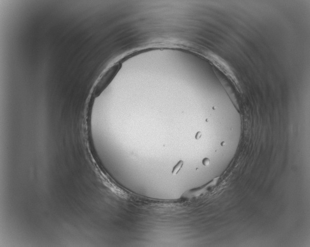 X0000071951192200608041545