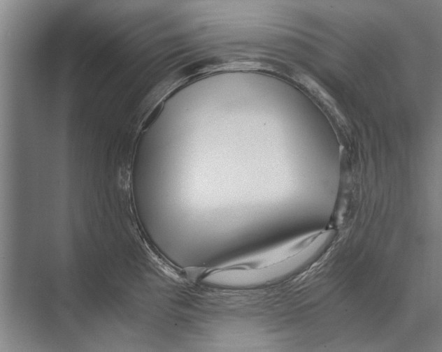 X0000071951193200608041545