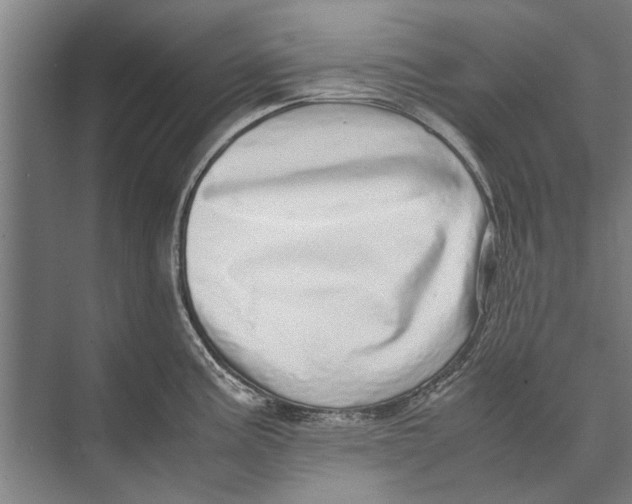 X0000071951195200608041545