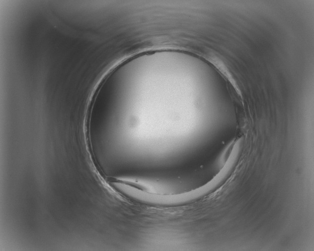 X0000071951197200608041545