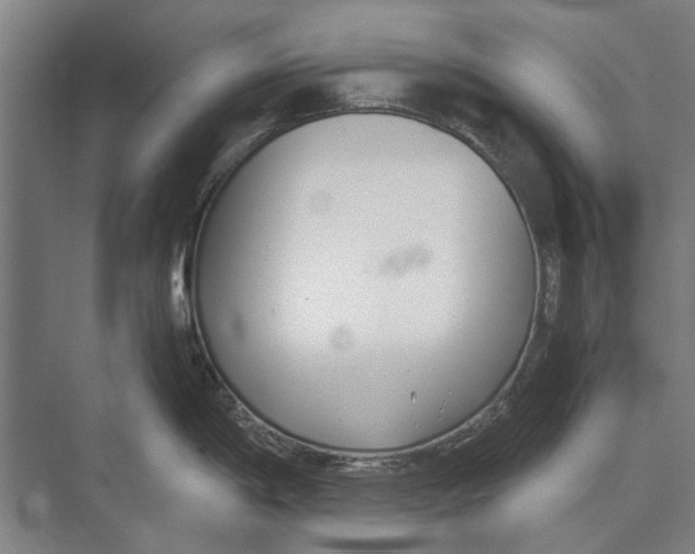 X0000071951198200608041545