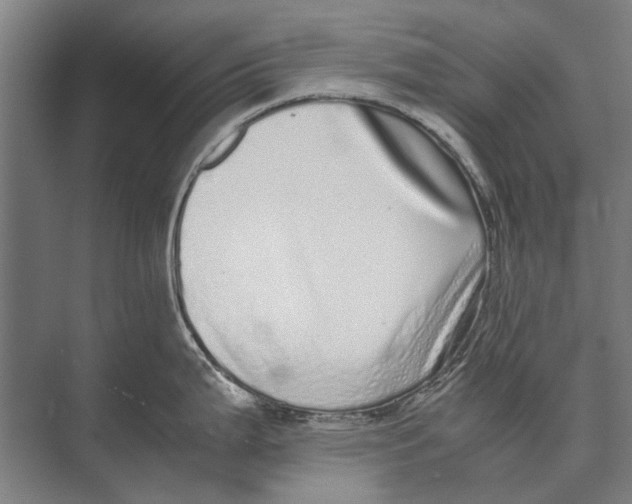 X0000071951199200608041545