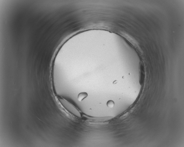 X0000071951200200608041545