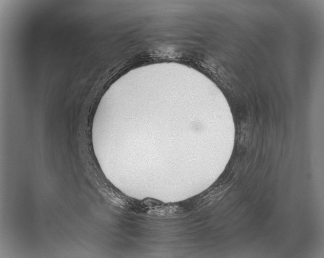 X0000071951201200608041544