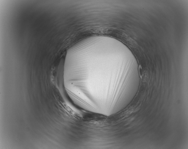 X0000071951202200608041544