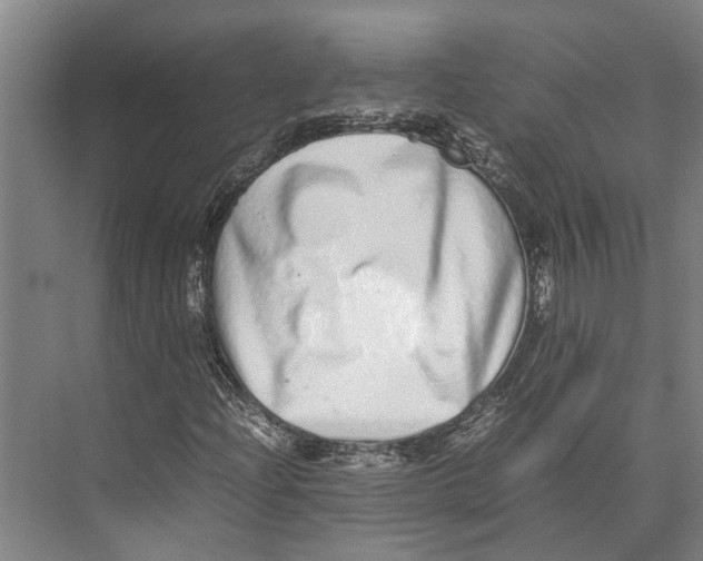 X0000071951204200608041544