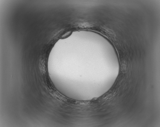 X0000071951205200608041544