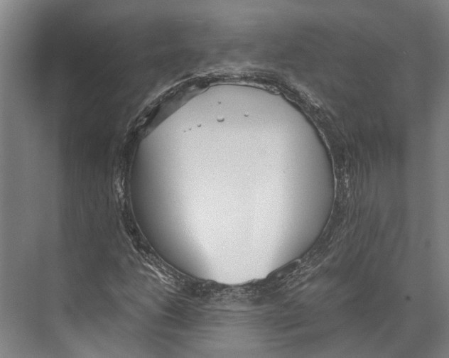 X0000071951206200608041544