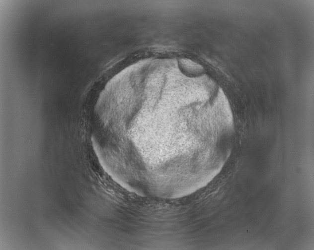 X0000071951207200608041544