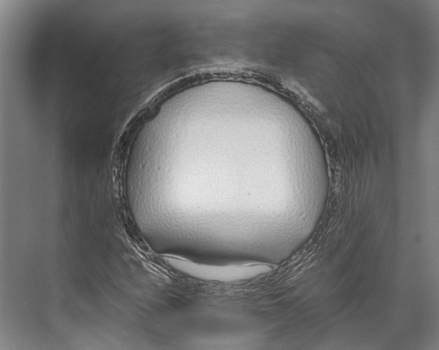 X0000071951208200608041544