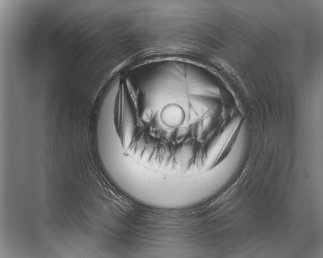 X0000071951210200608041544