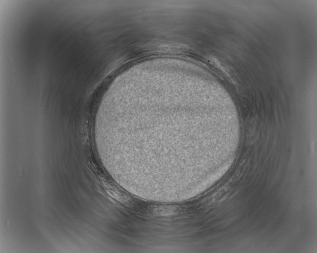 X0000071951211200608041544