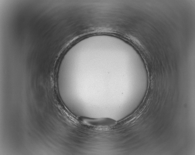 X0000071951212200608041544