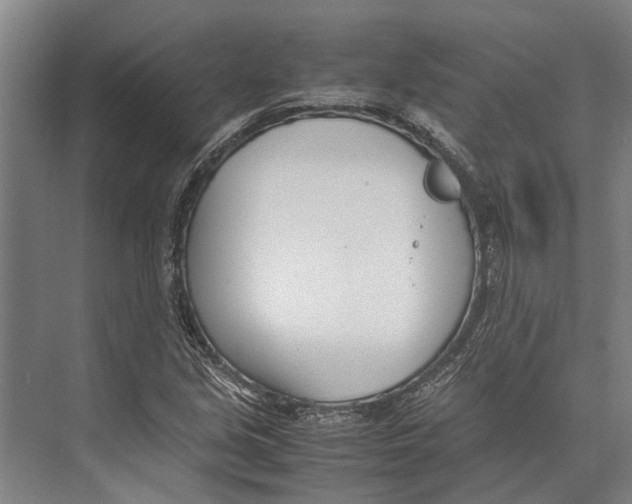 X0000071951213200608041544