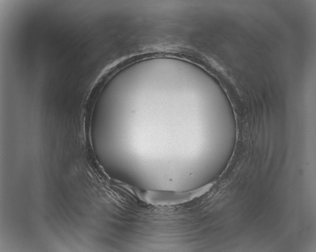 X0000071951214200608041544