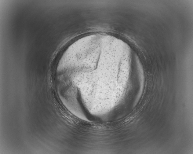 X0000071951215200608041544