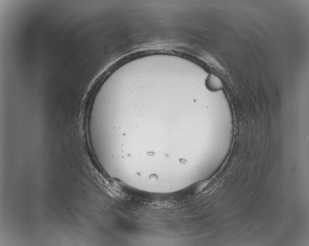 X0000071951216200608041544