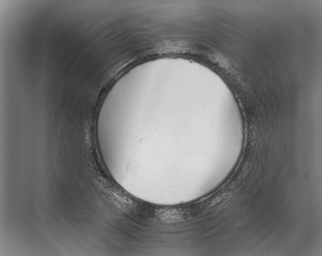 X0000071951217200608041544