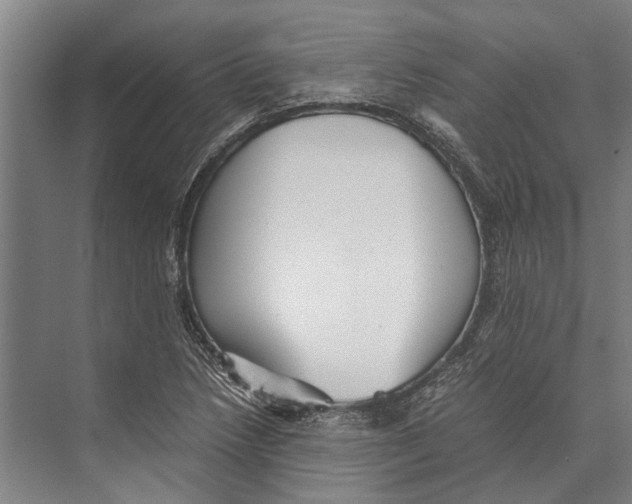 X0000071951218200608041544